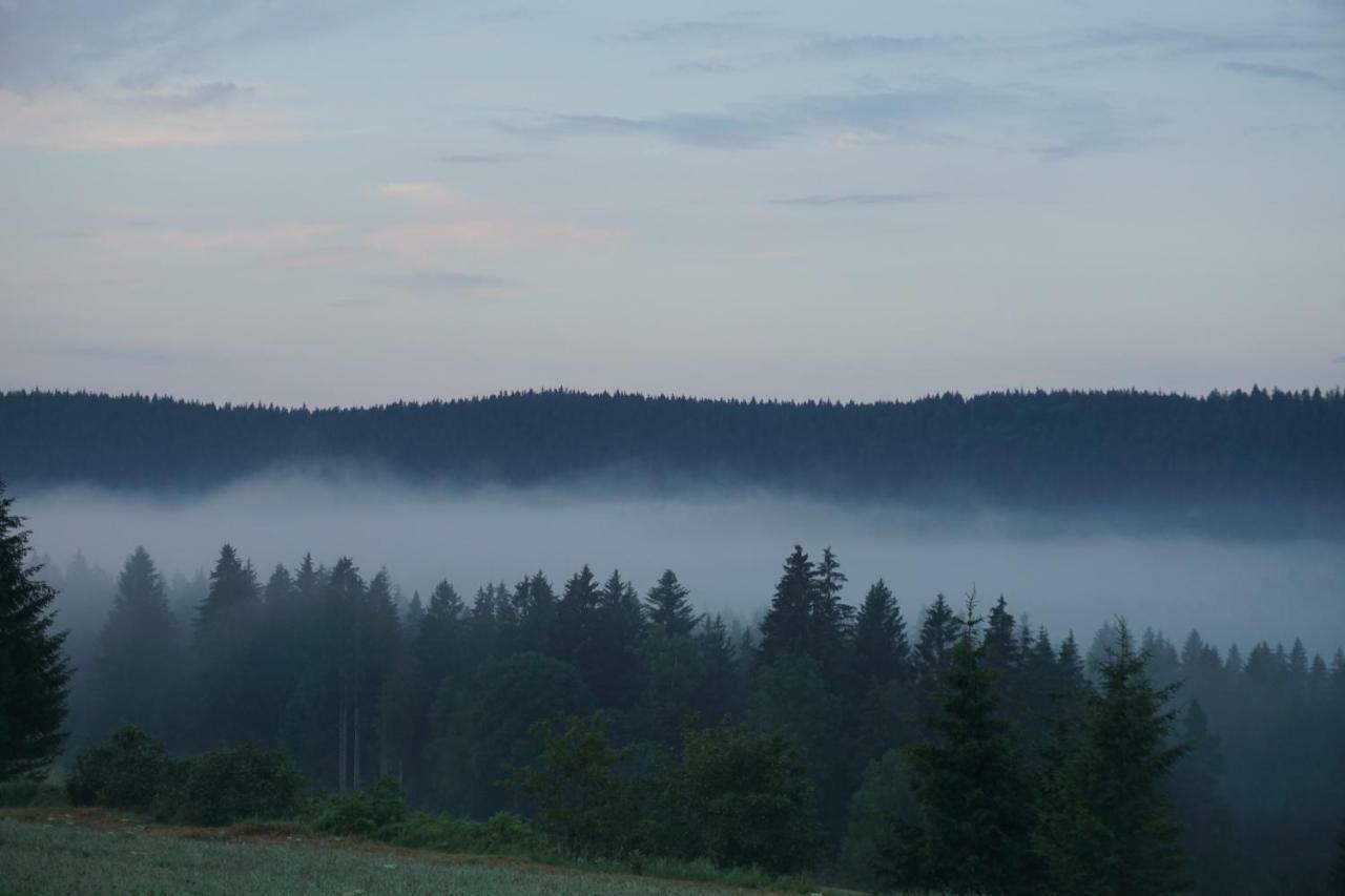 Ferienwohnung Neuwelt Hinterzarten Exteriér fotografie