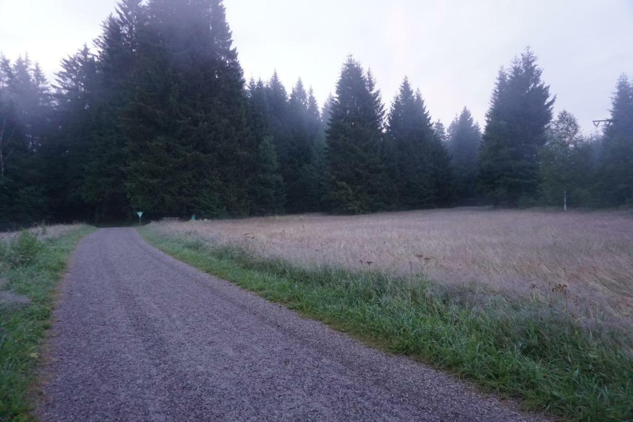 Ferienwohnung Neuwelt Hinterzarten Exteriér fotografie
